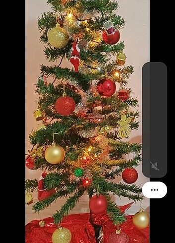 Diğer Yılbaşı ağacı