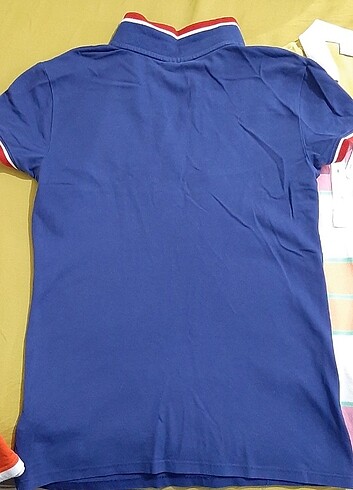 m Beden 5 adet us polo t-shirt