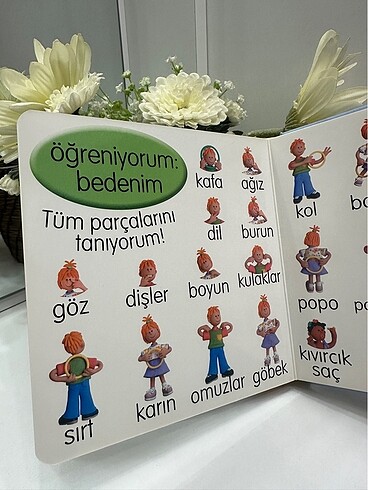 Beden Renk Dolgu kapak mukavva kitap