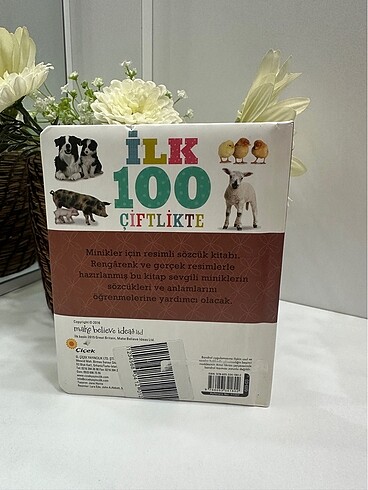Diğer Çocuk Mukavva kitap