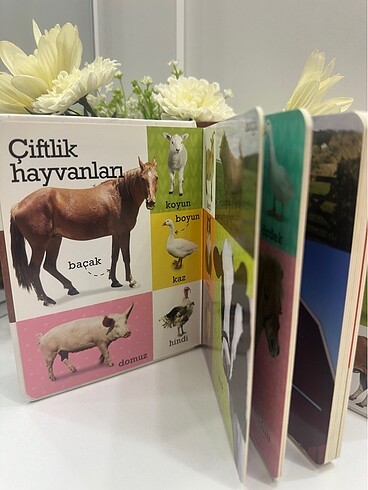 Beden Çocuk Mukavva kitap