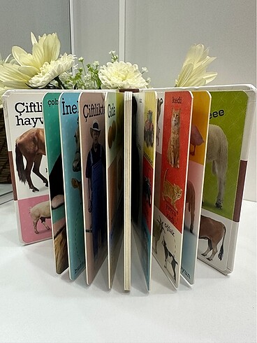 Beden Renk Çocuk Mukavva kitap