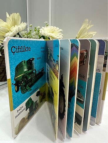 Beden Renk Çocuk mukavva kitap