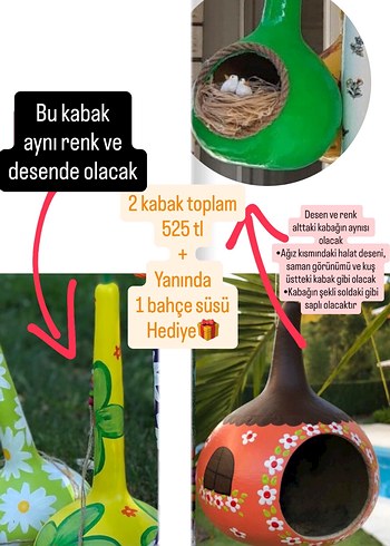 Saplı, renkli kabak seti