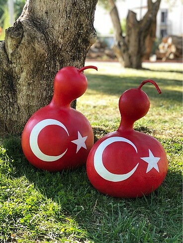 Diğer Ay Yıldızlı Su Kabağı