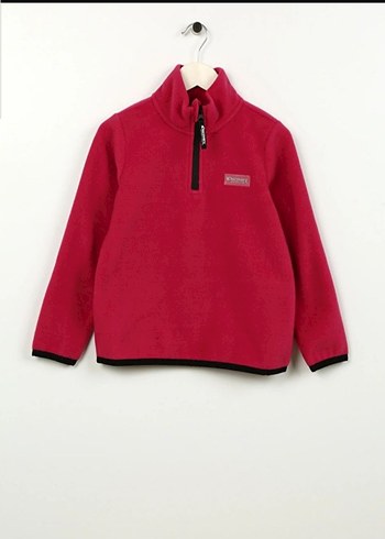 DİSCOVERY EXPEDİTİON POLAR - Görsel 2