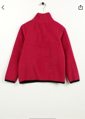 DİSCOVERY EXPEDİTİON POLAR - Görsel 4