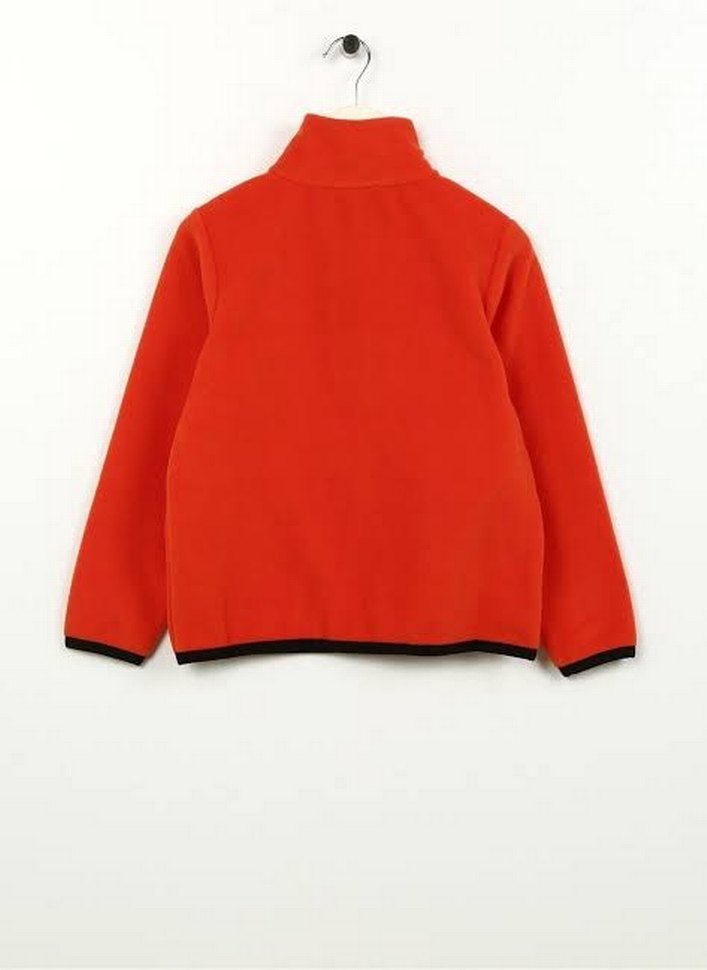 DİSCOVERY EXPEDİTİON POLAR - Görsel 3