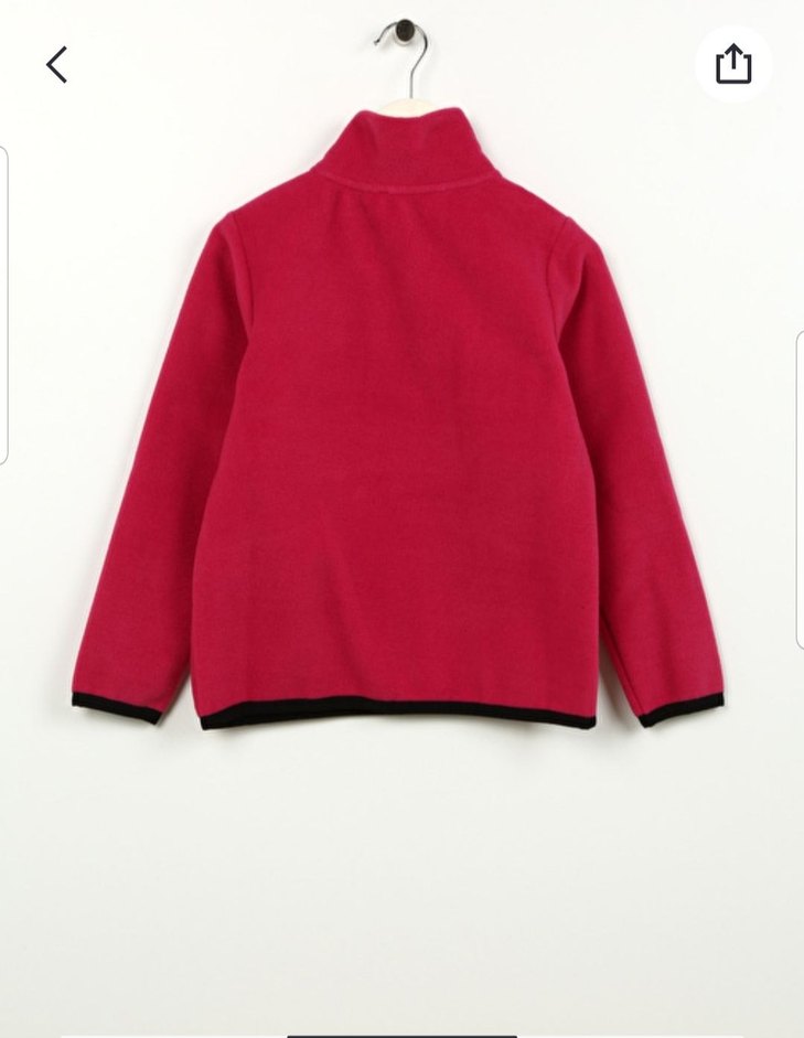 DİSCOVERY EXPEDİTİON POLAR - Görsel 4