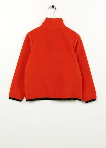 DİSCOVERY EXPEDİTİON POLAR - Görsel 4