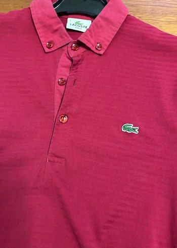 m Beden bordo Renk Bordo Düğmeli Erkek Polo Tişört