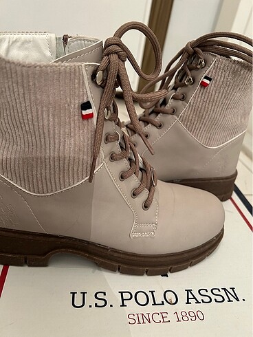 38 Beden Polo bot