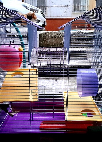 Hamster/Kuş Kafesi ve Aksesuarları