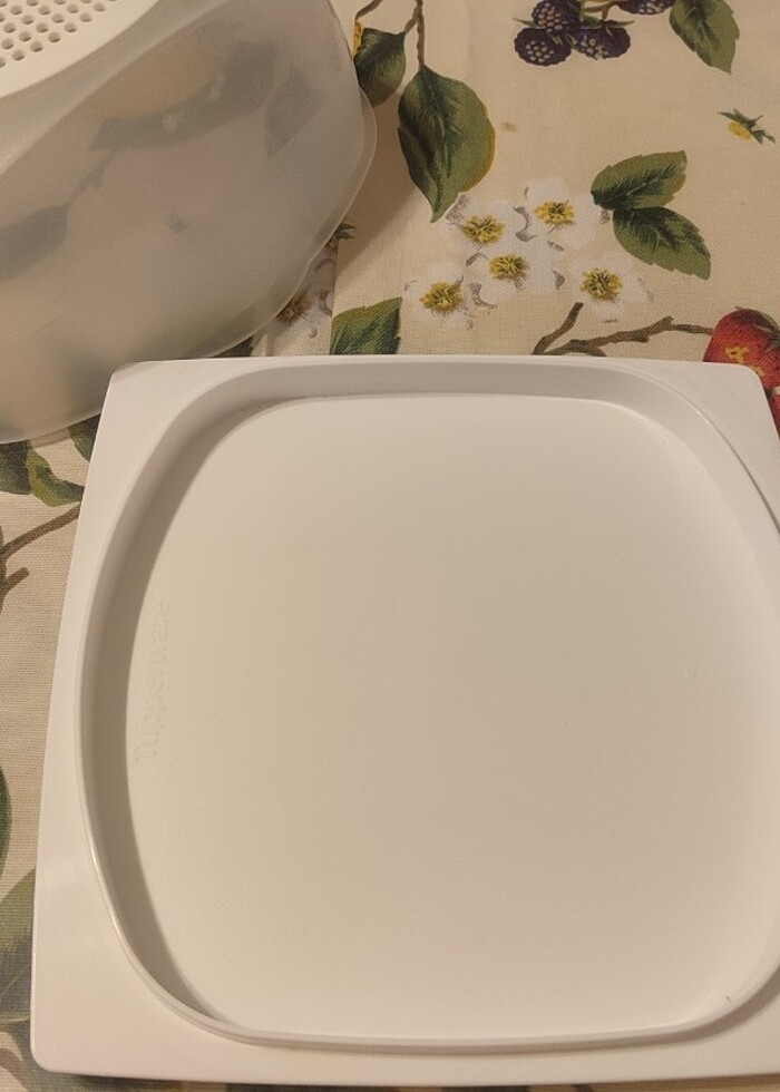 Tupparware peynirlik - Görsel 2