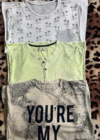 Zara marka Erkek Çocuk tişörtleri