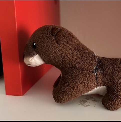 Ty nin oyuncagı - Görsel 3