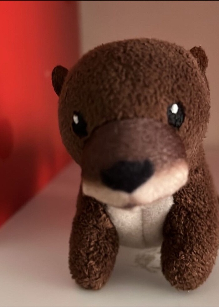 Ty nin oyuncagı - Görsel 2