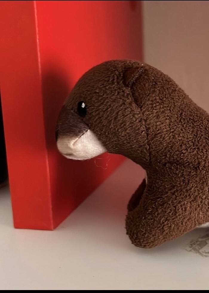 Ty nin oyuncagı - Görsel 3