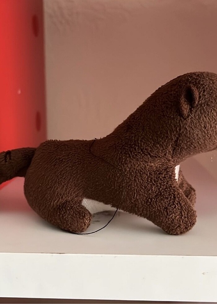 Ty nin oyuncagı - Görsel 5