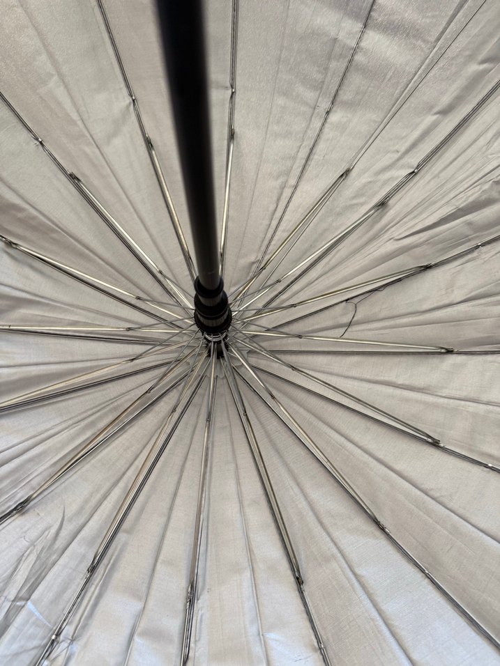 Klasik Siyah Tokalı Kadın Şemsiye - Görsel 4