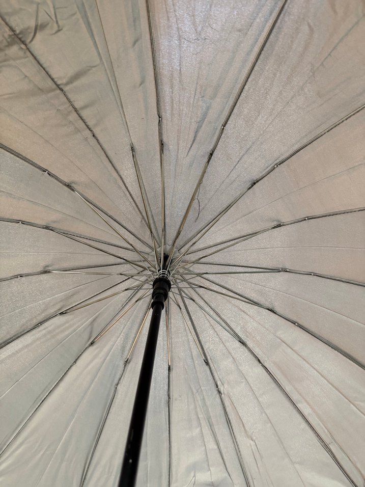 Klasik Siyah Tokalı Kadın Şemsiye - Görsel 5