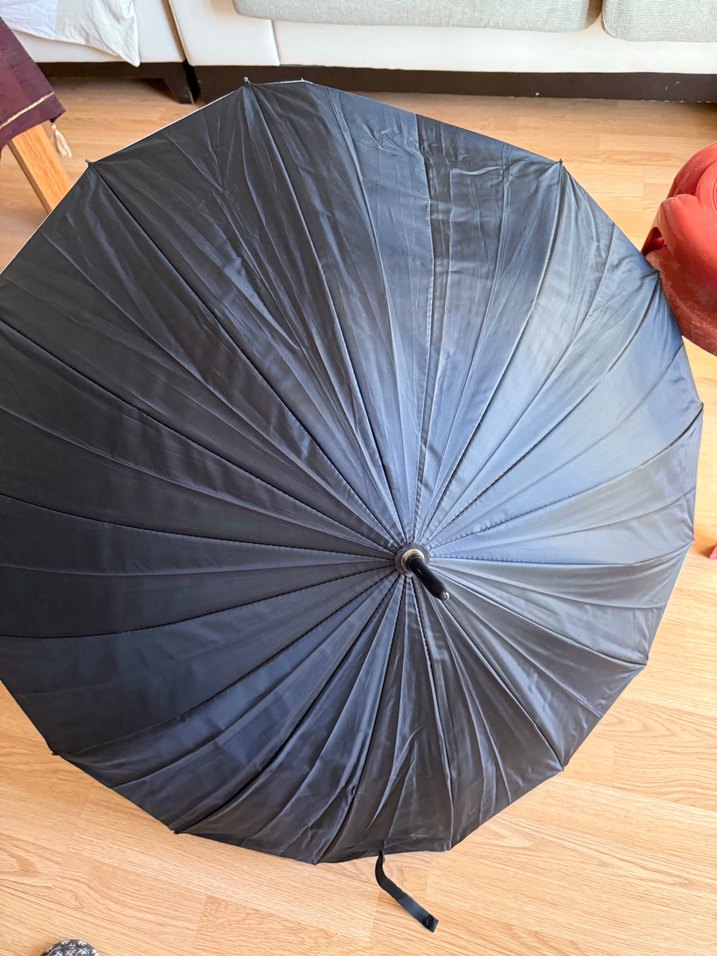 Klasik Siyah Tokalı Kadın Şemsiye - Görsel 2