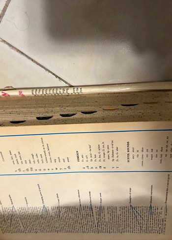 Webster's Deluxe Ansiklopedik İngilizce Sözlük - Görsel 4