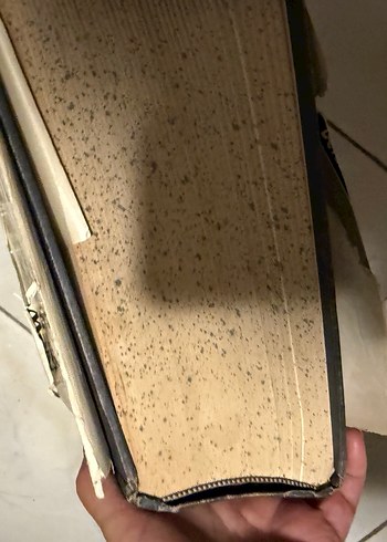 Webster's Deluxe Ansiklopedik İngilizce Sözlük - Görsel 5