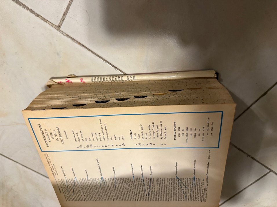 Webster's Deluxe Ansiklopedik İngilizce Sözlük - Görsel 4