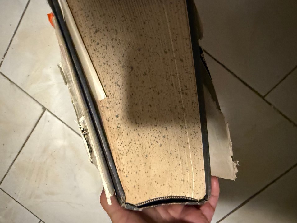 Webster's Deluxe Ansiklopedik İngilizce Sözlük - Görsel 5