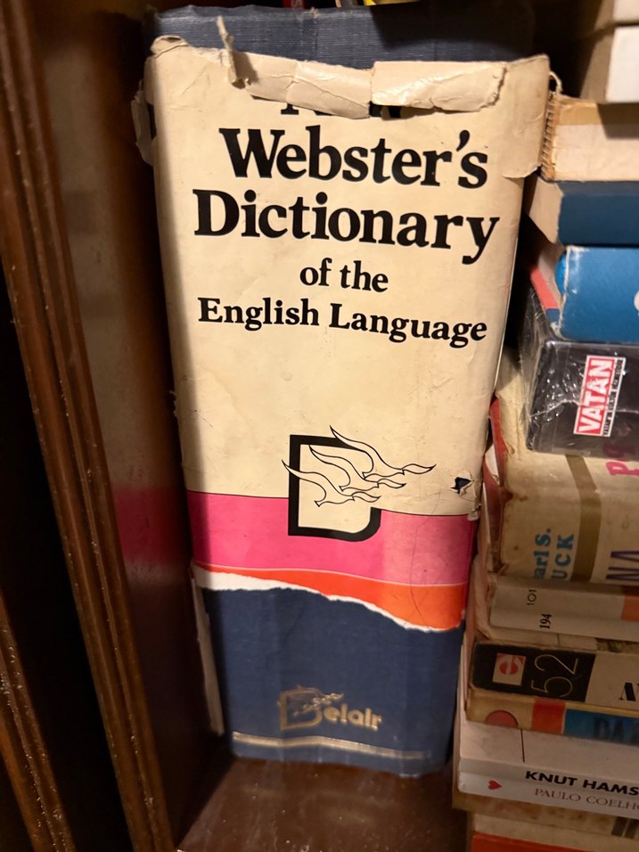 Webster's Deluxe Ansiklopedik İngilizce Sözlük - Görsel 2