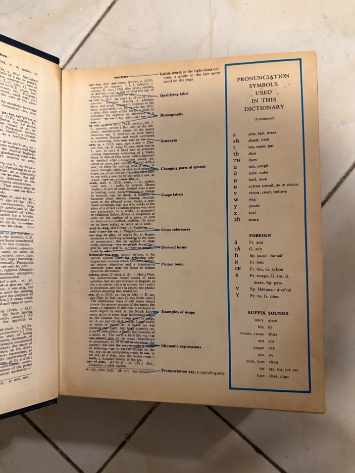 Webster's Deluxe Ansiklopedik İngilizce Sözlük - Görsel 3