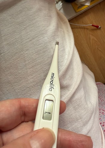 Microlife Dijital Termometre - Görsel 2