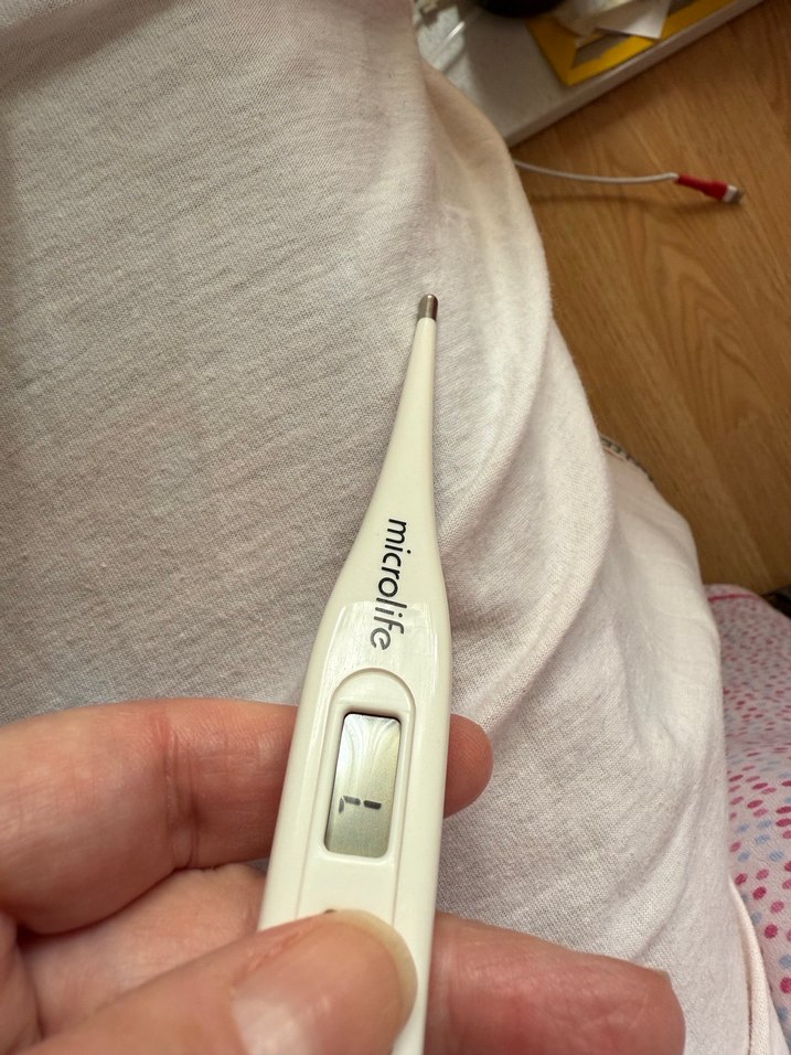 Microlife Dijital Termometre - Görsel 2