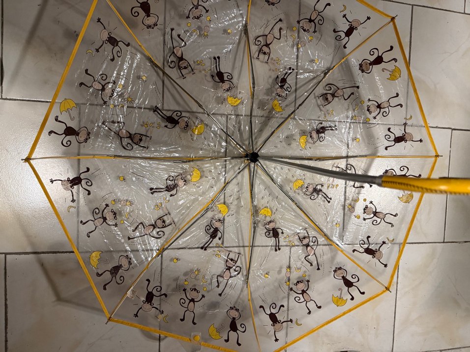 Sarı Çerçeveli Şeffaf Kadın Şemsiye - Görsel 2