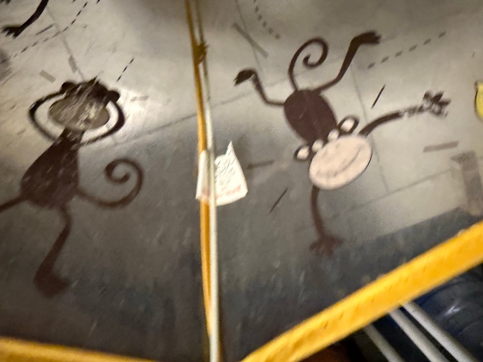 Sarı Çerçeveli Şeffaf Kadın Şemsiye - Görsel 3