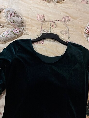 Kadıfe şıklığı - Görsel 3