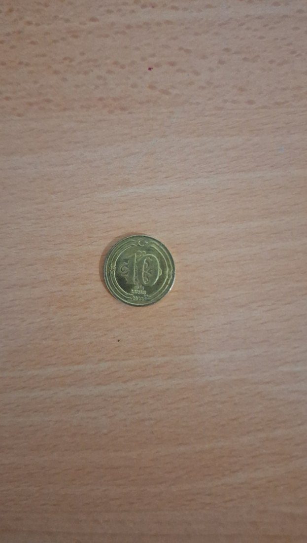 Parlak Altın Renkli Hediye Parası - Görsel 2