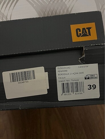 Cat Kışlık bot