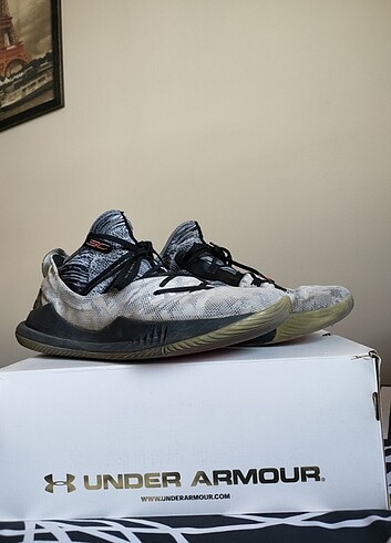 Curry 5