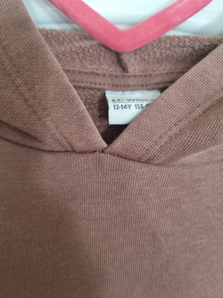 Kadın Kahverengi Kapüşonlu Sweatshirt - Görsel 2