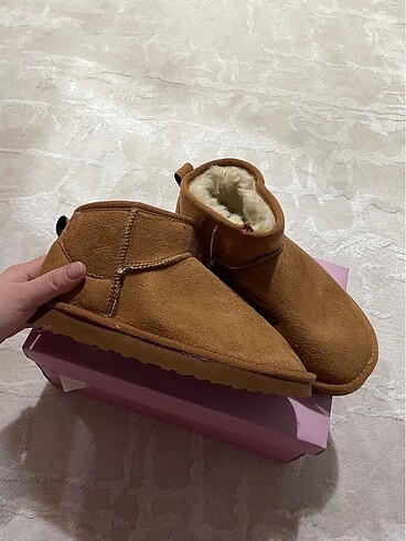 Ugg Zara bot