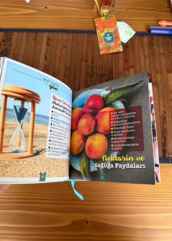 Taylan Kümeli Sağlık / Tarif Kitabı - Görsel 4