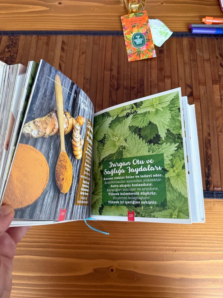 Taylan Kümeli Sağlık / Tarif Kitabı - Görsel 3