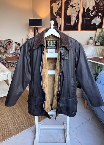 Barbour 38