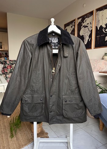 Barbour 42