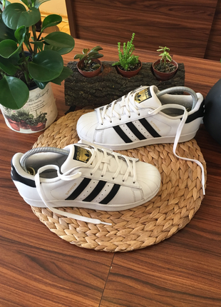 38 Beden Adidas klasik superstar 38.5 numara ayakkabı