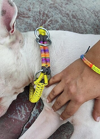 Özel tasarım fosforlu sarı köpek tasması ve bileklik