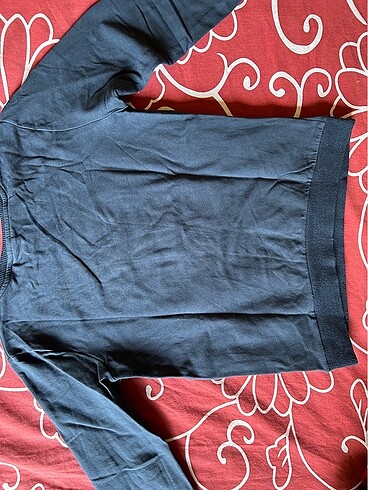 LC Waikiki Dinazorlu sweatshirt