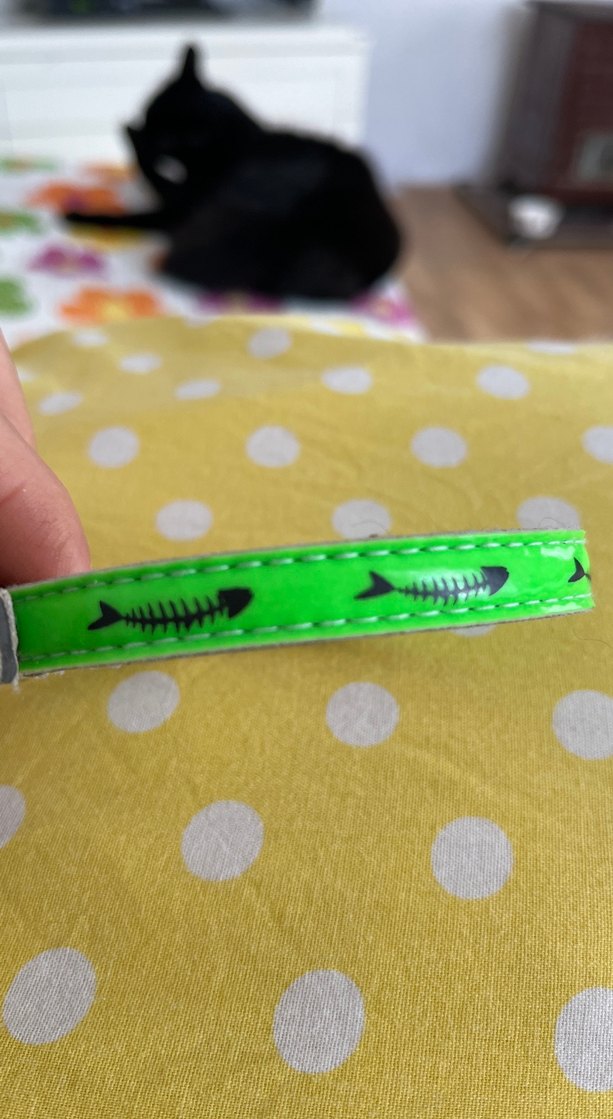 Yeşil Renkli Zilli Kedi Tasması - Görsel 2